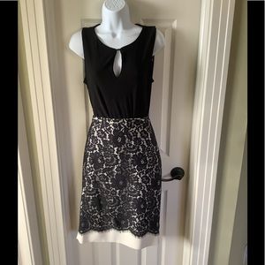 The Limited Scandal Collection black and cream lace pencil skirt